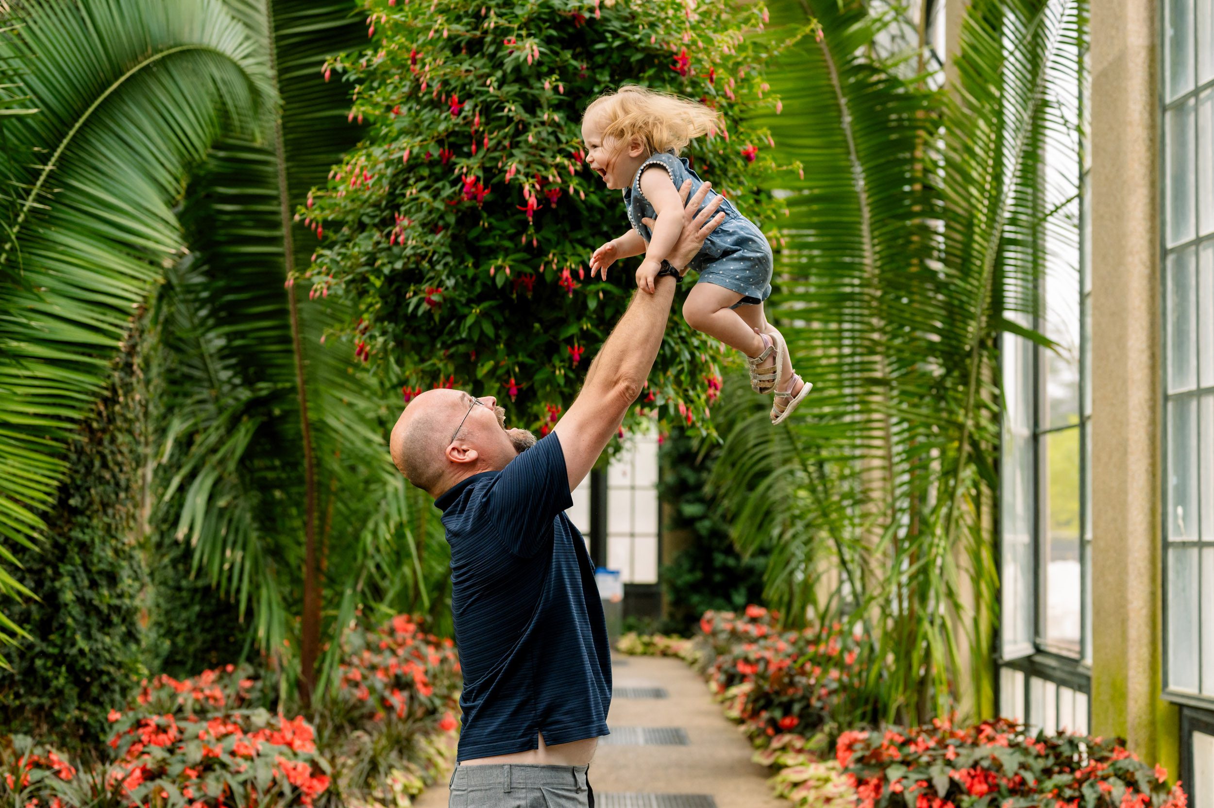 a dad standing in a greenhouse surrounded by flowers in bloom as he lifts his young daughter up in the air and they both laugh during a Longwood Gardens family photos session