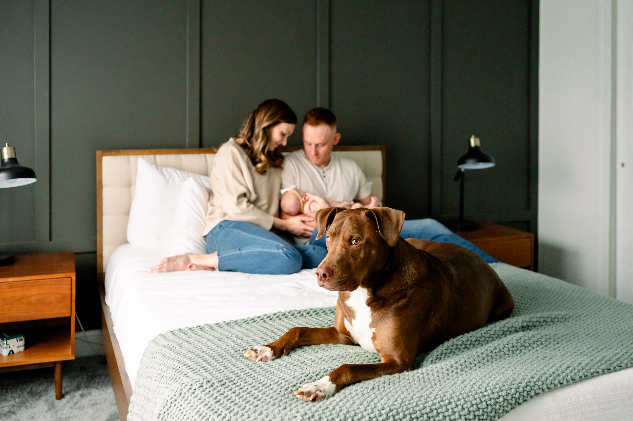 new parents sitting on a bed and smiling down at their baby girl cradled in their arms with the family dog in the foreground looking right at the camera during an in home newborn photography session