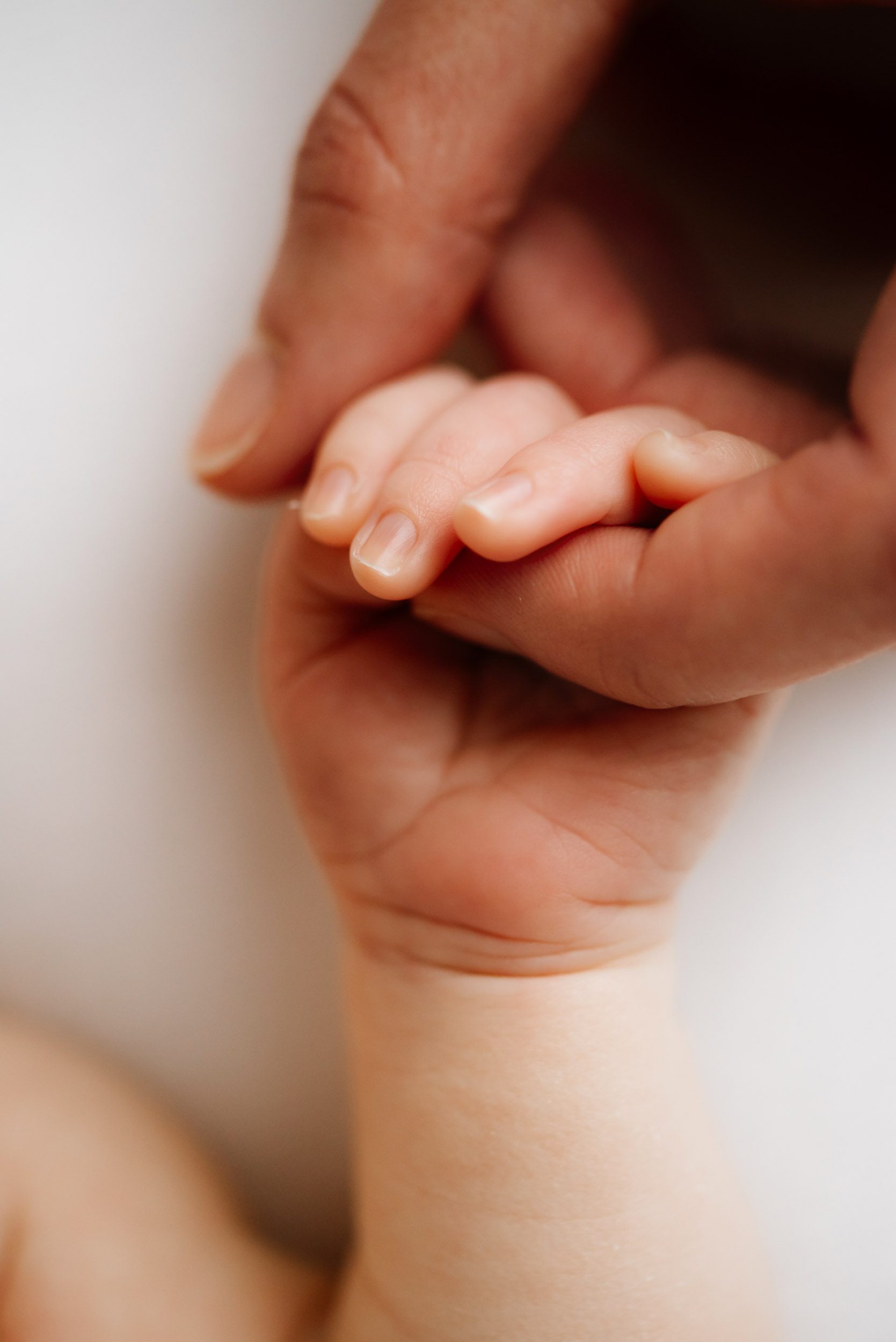 a close up macro picture of a baby's hand as she grabs onto her mom's finger during a newborn photoshoot