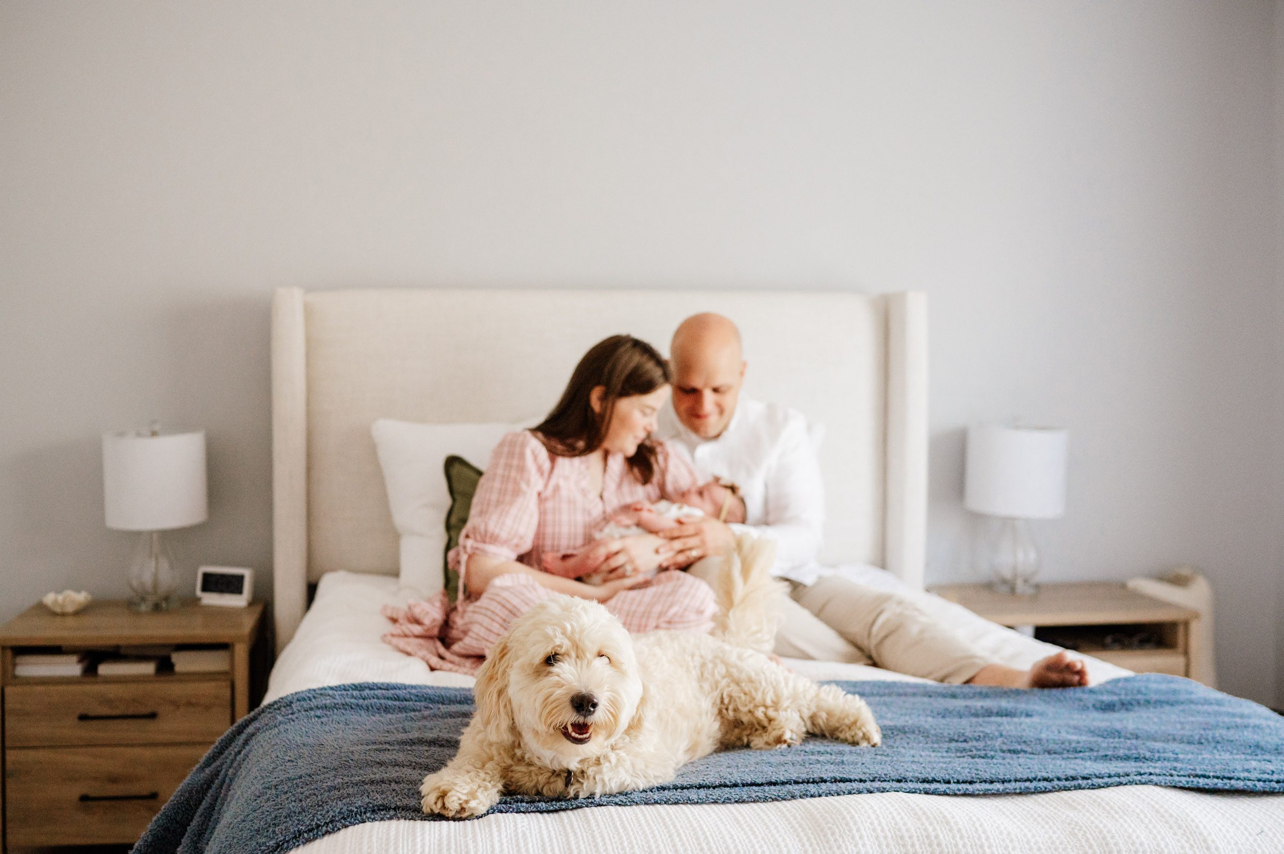 parents sitting on their bed holding their baby girl and smiling down at her while their dog lays at the foot of the bed looking directly at the camera during an in home newborn photography session