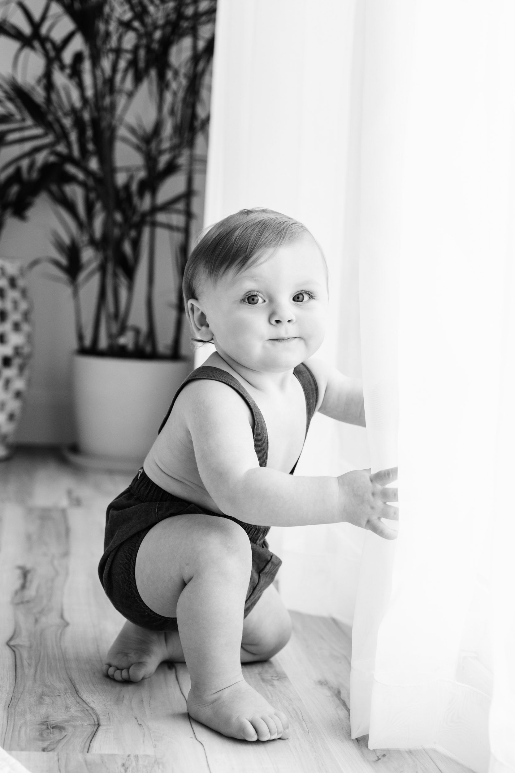 a black and white picture of a young boy kneeling next to a big window and touching the sheer curtains as he looks right at the camera with a smirk on his face during a 1st birthday milestone photoshoot