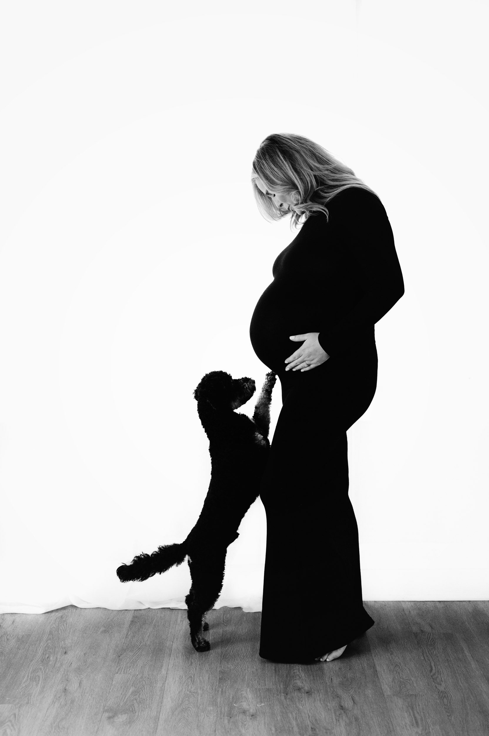 a black and white backlit picture of an expecting mom wearing a black fitted maternity dress and smiling down at her pet dog who is up on his hind legs reaching up to touch her belly with his paw