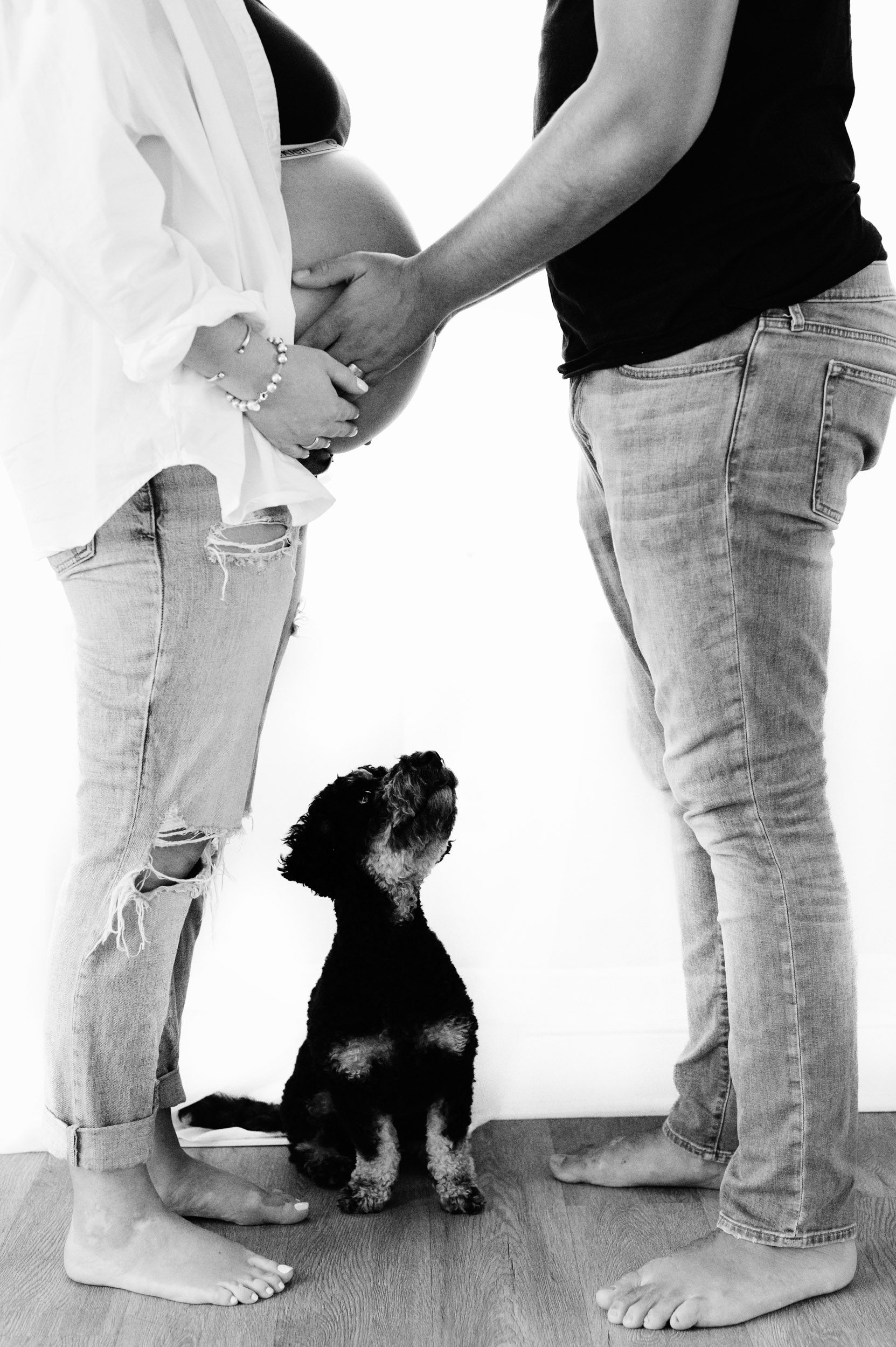 a black and white backlit picture of a dog standing between his parents and looking up at them as dad touches mom's belly during an in home lifestyle maternity photoshoot