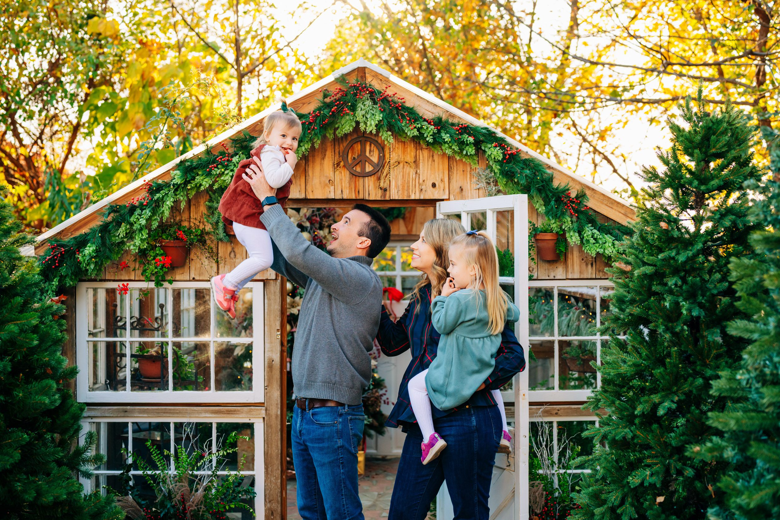 a family of four standing in front of a small greenhouse decorate with Christmas trees and red berries as dad lifts his young daughter up in the air and she smiles at the camera during a holiday mini session