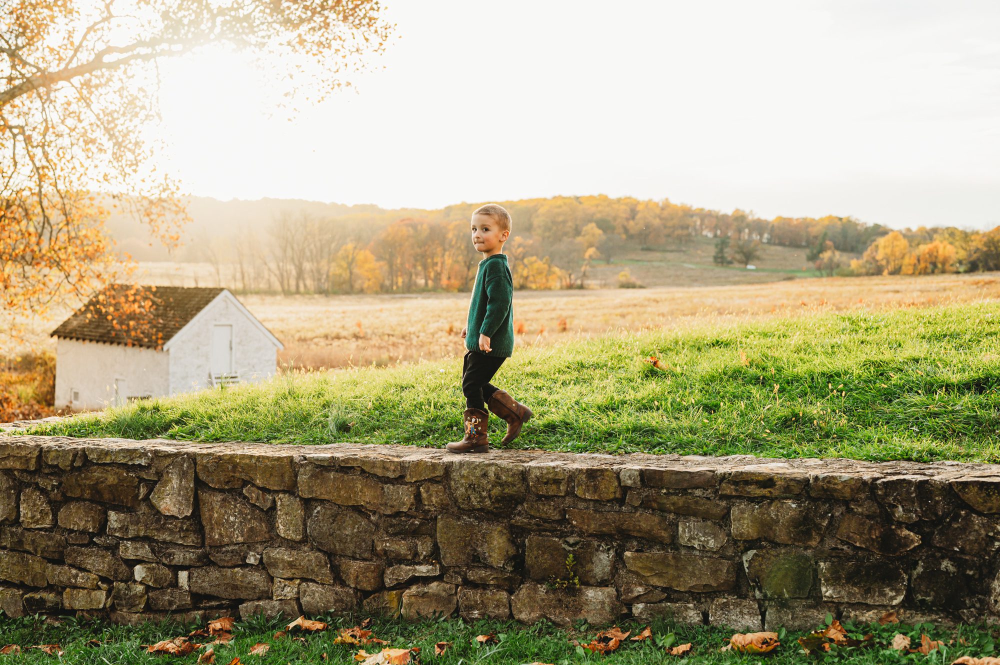 A NAPCP master baby photographer portfolio image of a young a young boy walking along the top of a stone small stone wall and looking back over his shoulder at the camera with the sun setting a field full of golden grasses in the background
