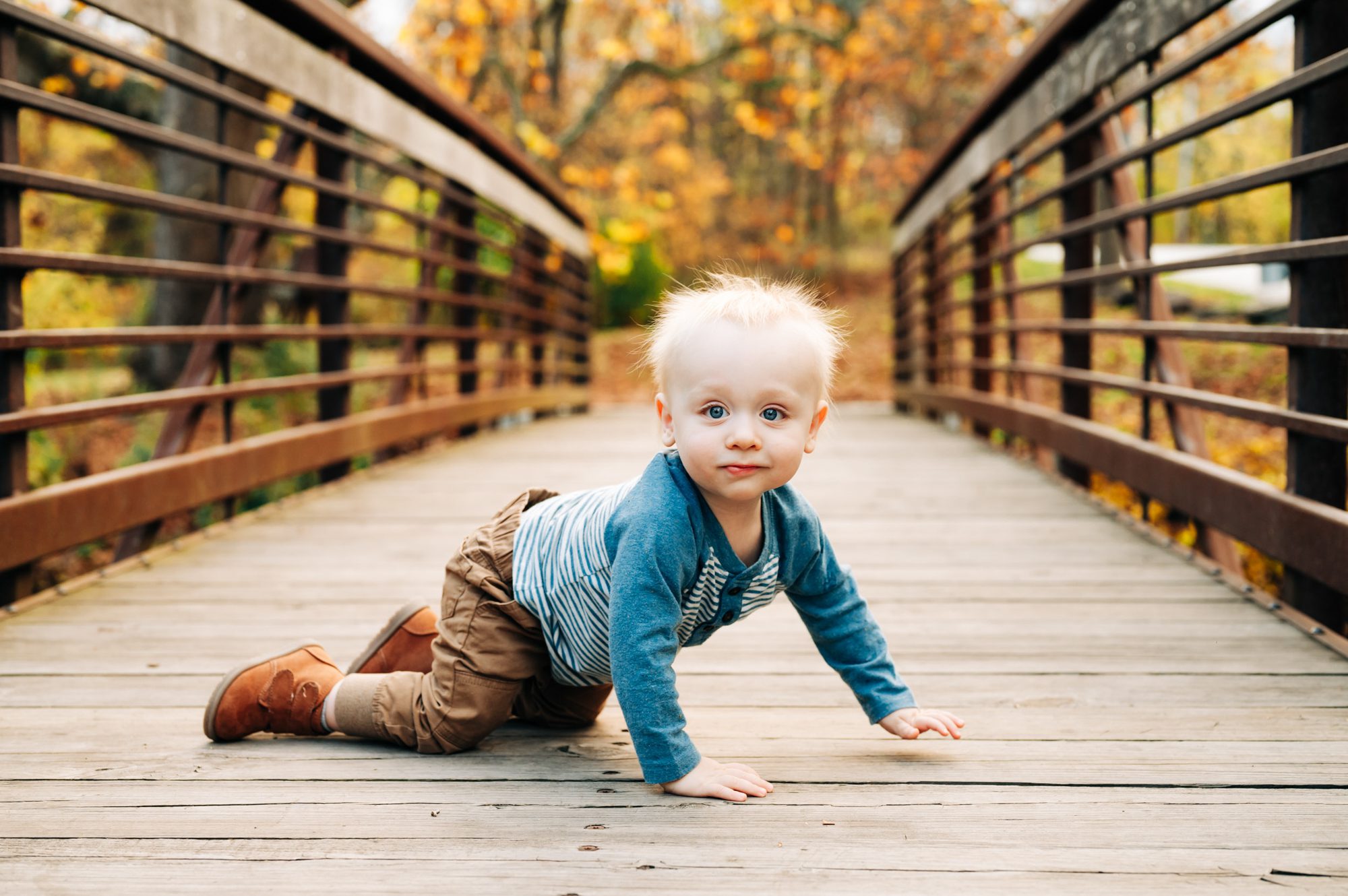 A NAPCP master baby photographer portfolio image of a young a young boy gazing directly at the camera as he crawls across a bridge with colorful fall foliage in the background