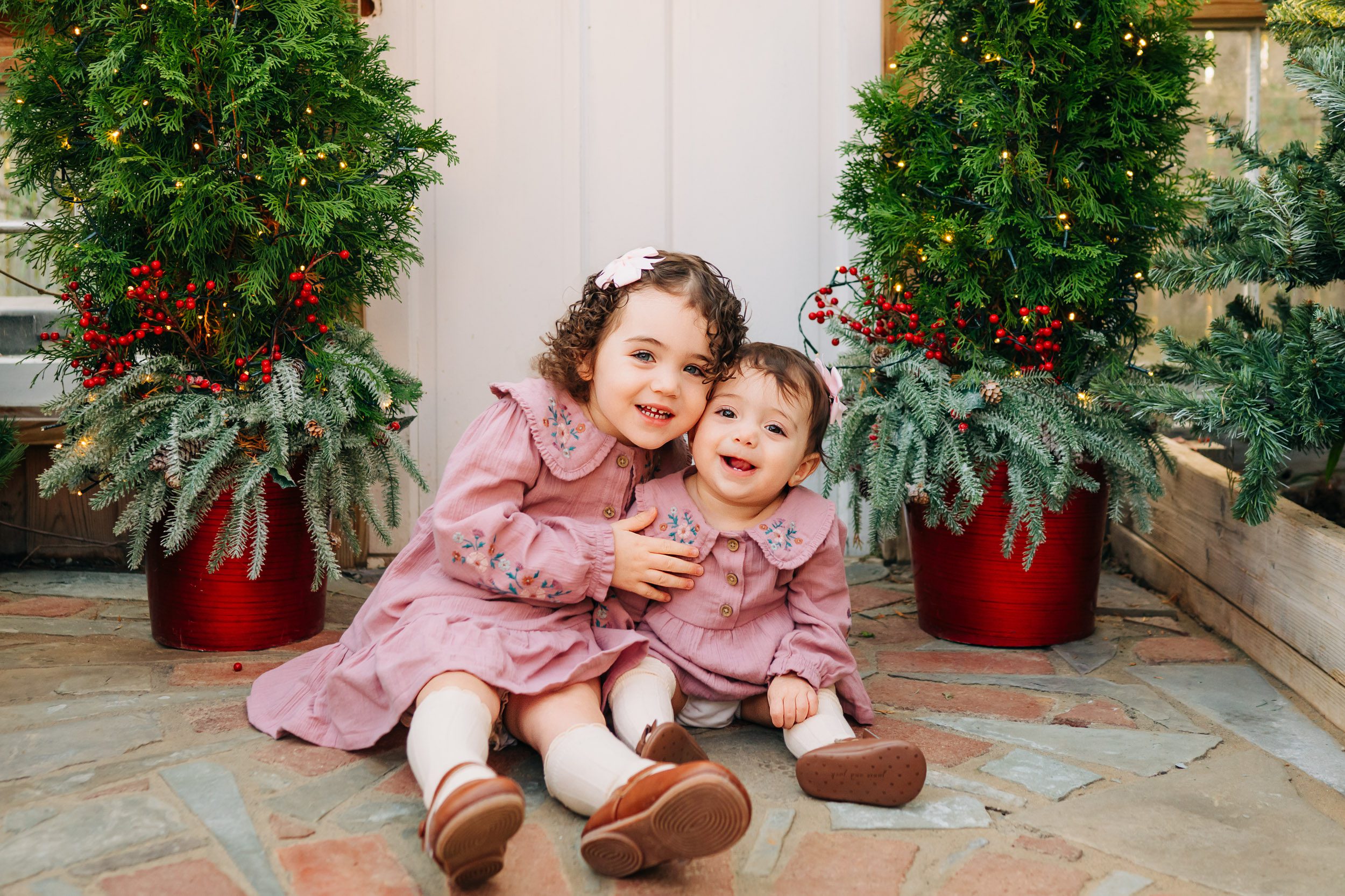 sisters sitting in a greenhouse with Christmas trees and red holiday berries in the background during a holiday mini session
